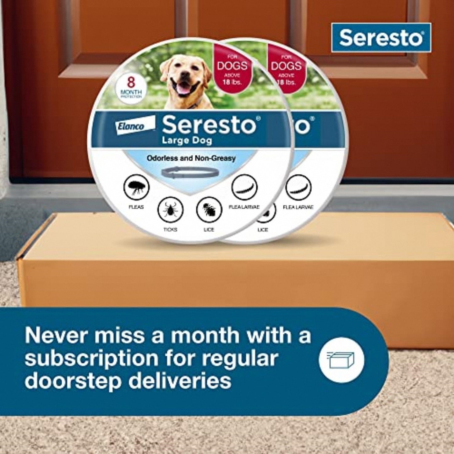 ššš®š² šØš§š š šš šØš§š šš«šš Vet-Approved Flea & Tick Collar for Dogs ā 8 Months of Long-Lasting Protection