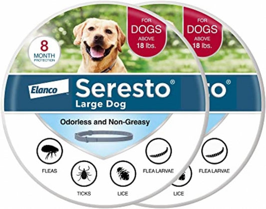 🎁𝐁𝐮𝐲 𝐨𝐧𝐞 𝐠𝐞𝐭 𝐨𝐧𝐞 𝐟𝐫𝐞𝐞 Vet-Approved Flea & Tick Collar for Dogs – 8 Months of Long-Lasting Protection