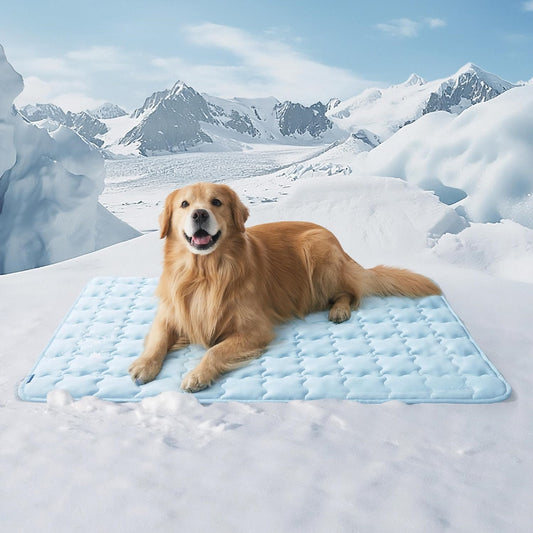 🎁𝐁𝐮𝐲 𝐨𝐧𝐞 𝐠𝐞𝐭 𝐨𝐧𝐞 𝐟𝐫𝐞𝐞 Washable Cooling Dog Mat – Soft & Portable for Indoor/Outdoor Use, QMAX>0.5