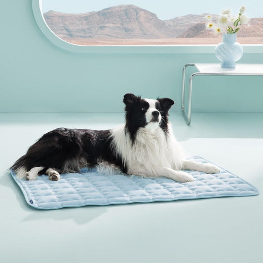 🎁𝐁𝐮𝐲 𝐨𝐧𝐞 𝐠𝐞𝐭 𝐨𝐧𝐞 𝐟𝐫𝐞𝐞 Washable Cooling Dog Mat – Soft & Portable for Indoor/Outdoor Use, QMAX>0.5