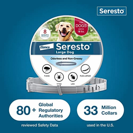 🎁𝐁𝐮𝐲 𝐨𝐧𝐞 𝐠𝐞𝐭 𝐨𝐧𝐞 𝐟𝐫𝐞𝐞 Vet-Approved Flea & Tick Collar for Dogs – 8 Months of Long-Lasting Protection